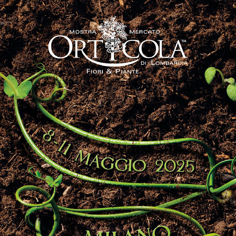 Orticola